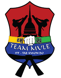 Giornata contro la violenza sulle donne