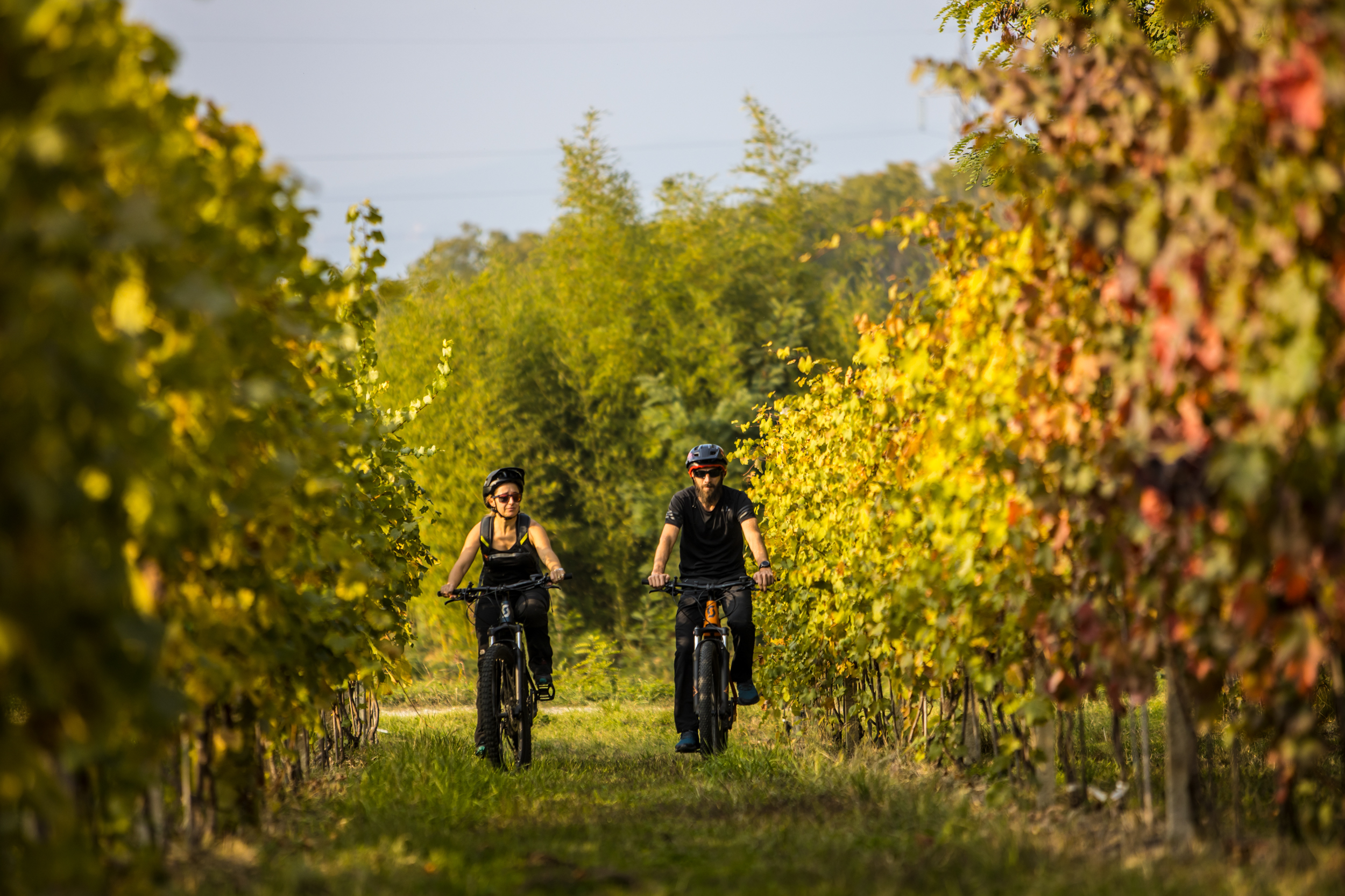 Welcome Tour® – Speciale Strada delle Mele Bike Tour – 19 settembre